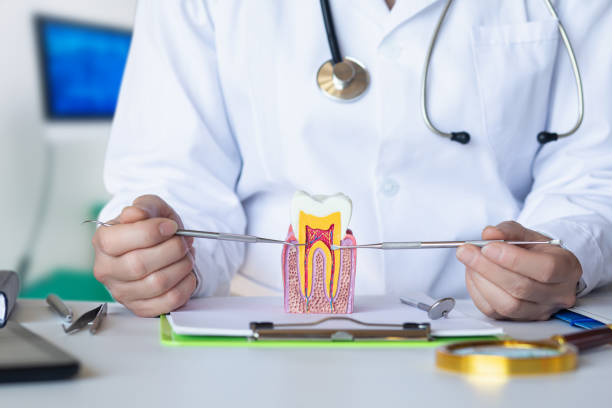 Best Emergency Wisdom Teeth Removal in Greenup, IL
